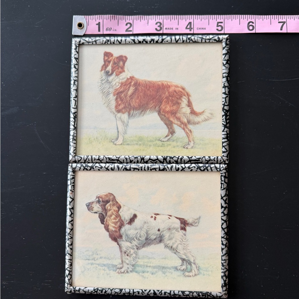 Vintage Small Dog Illustration Wall Art Pair - Collie & Cocker Spaniel - Picture 4 of 6